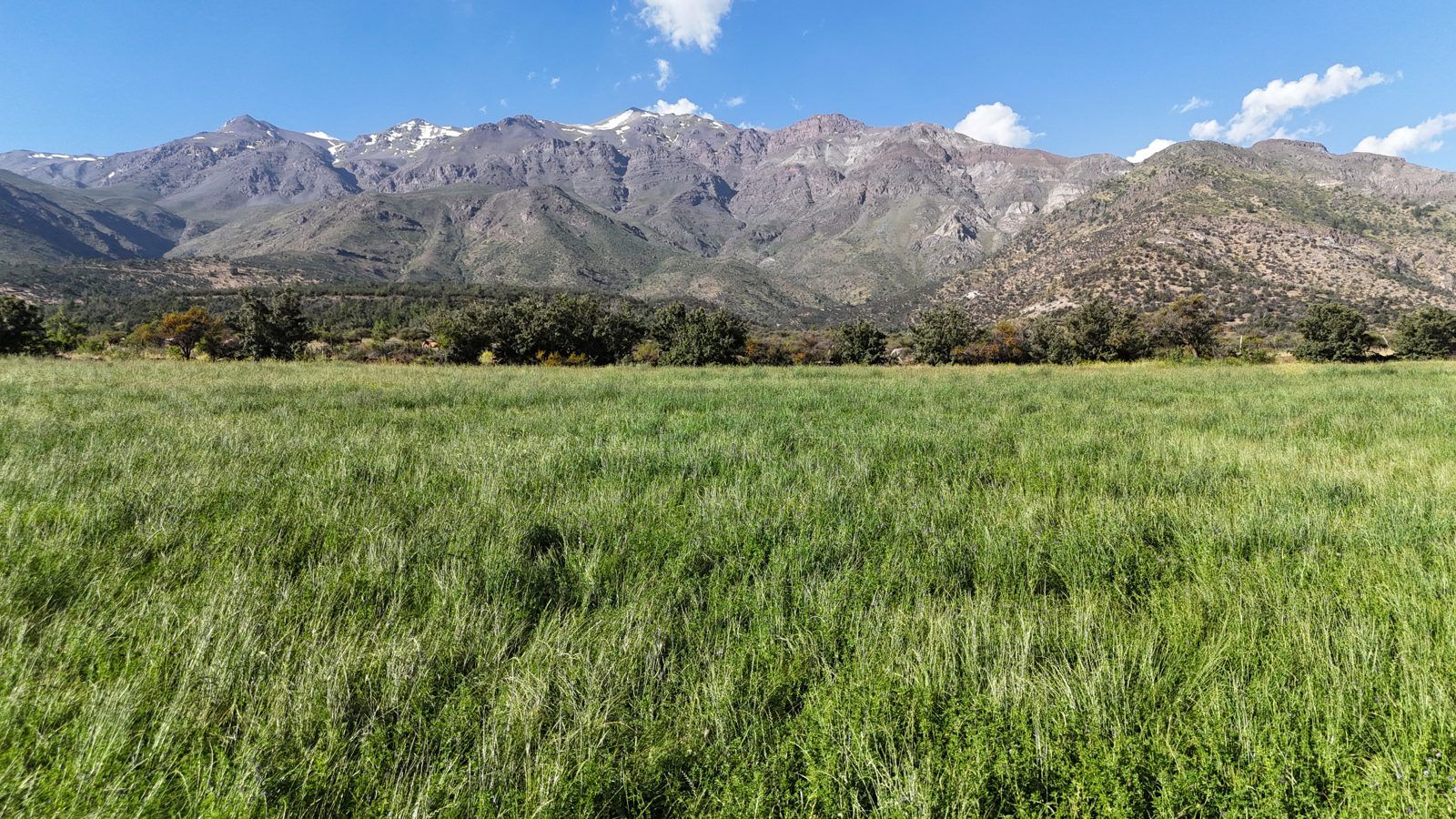 Valle verde y cordillera del Fundo San Francisco de los Andes